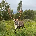 My Kaldfjorden *