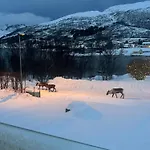 My Kaldfjorden