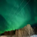 My Kaldfjorden * Tromsø