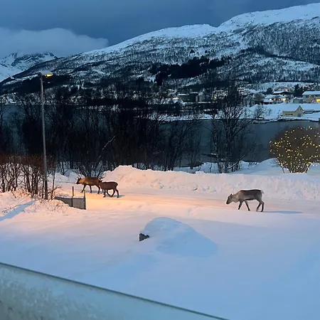 My Kaldfjorden