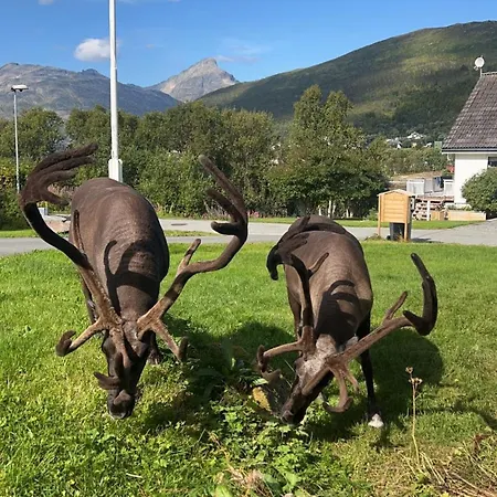 Hébergement de vacances My Kaldfjorden *