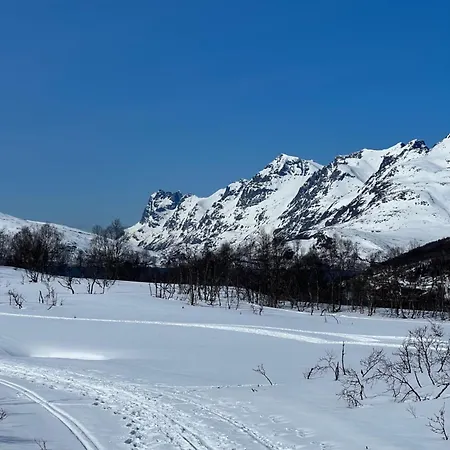 My Kaldfjorden 特罗姆瑟