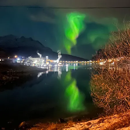 My Kaldfjorden *