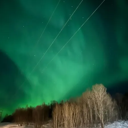 My Kaldfjorden * Tromsø