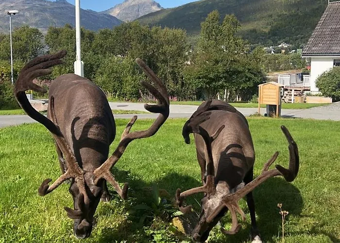 Casa vacanze My Kaldfjorden *