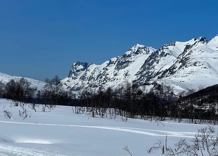 My Kaldfjorden Tromsø