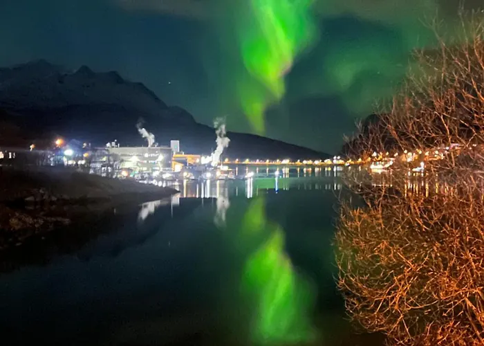 My Kaldfjorden *